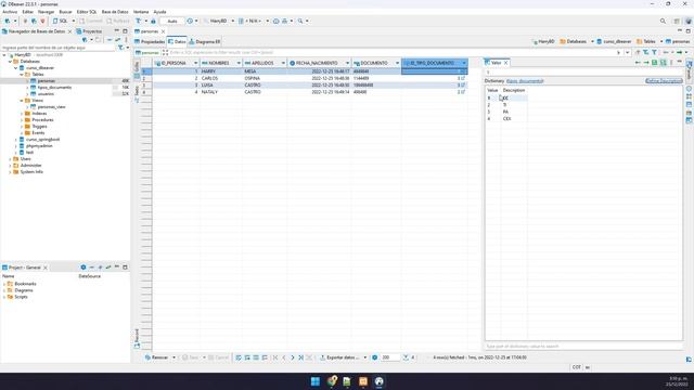 Curso De DBeaver | Como Conocer El Valor Referenciado (Clave Foranea) De Otras Tablas En DBeaver