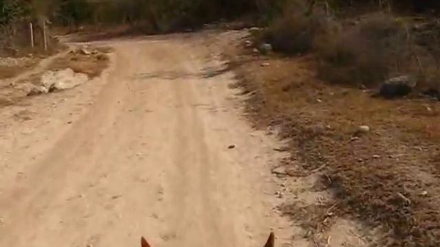 Cuba Travel: A Horseback Ride into the Hills смотреть онлайн