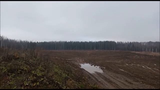 Лес в Истре раскурочили ради добычи песка Месторождение Сысоево смотреть онлайн