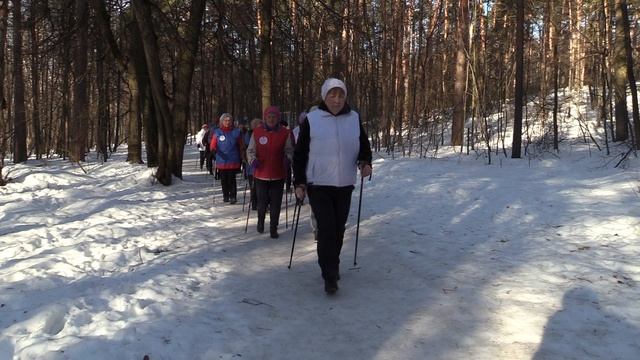Реализация программы «Активное Долголетие» в Лыткарине