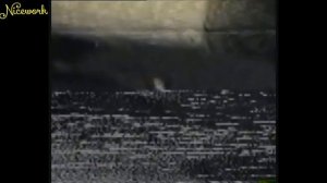 АЛФАВИТ С ЗЕЛЁНЫМ СЛОНИКОМ