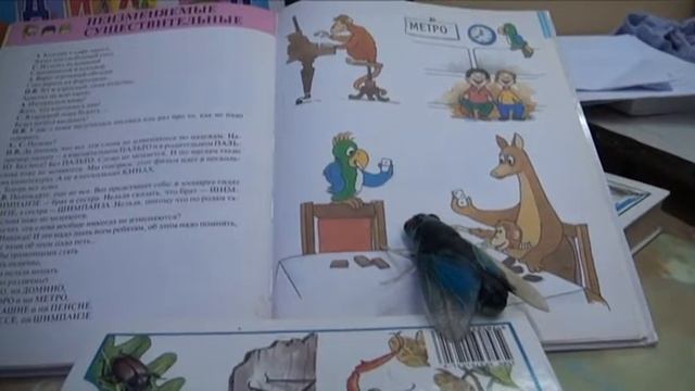 Неизменяемые существительные Муха смотреть онлайн