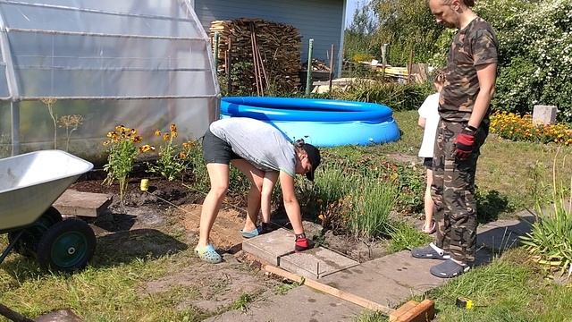 гриб поганка, самодельный инструмент для трамбовки песка, укладка брусчатки, как заслонить солнце смотреть онлайн