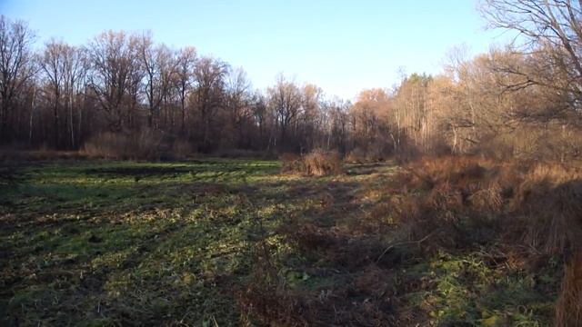 Бешеная и тихая нивы)))))) смотреть онлайн