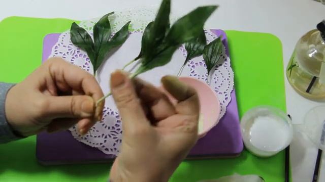 Мк ,,Пион Корал Шарм,, 2 часть от Чулпан Хисмеевой смотреть онлайн