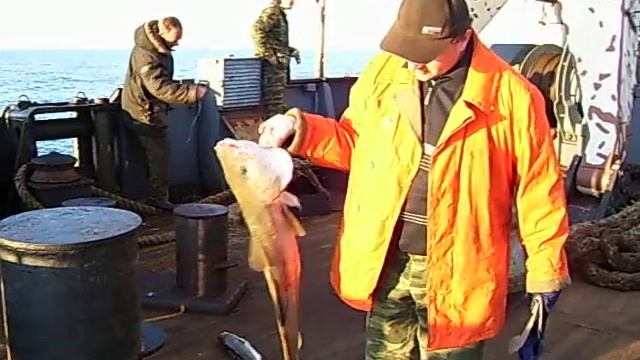 Рыбалка КИЛ-143 смотреть онлайн