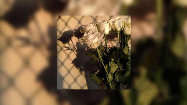 until I found you - stephen sanchez and em beihold (sped up) смотреть онлайн