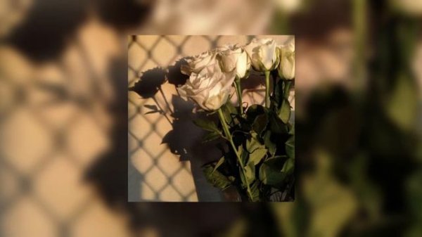 until I found you - stephen sanchez and em beihold (sped up)