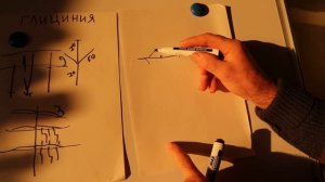 КАК ОБРЕЗАТЬ ГЛИЦИНИЮ.  ФОРМИРОВКА ДЕРЕВОМ И ЦВЕТУЩЕЙ СТЕНОЙ.