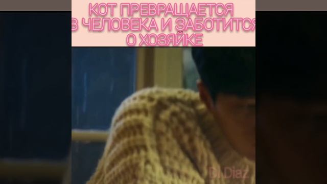 Кот превращается в человека и заботится о хозяйке смотреть онлайн