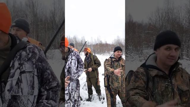 Охота на лося. смотреть онлайн