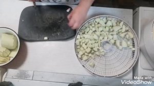 Кабачок кубиком. Сушим кабачок в EZIDRI FD 500. (08,20) 5AFamily