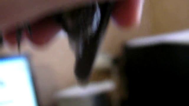 Как я ловил синиц дома за компом смотреть онлайн