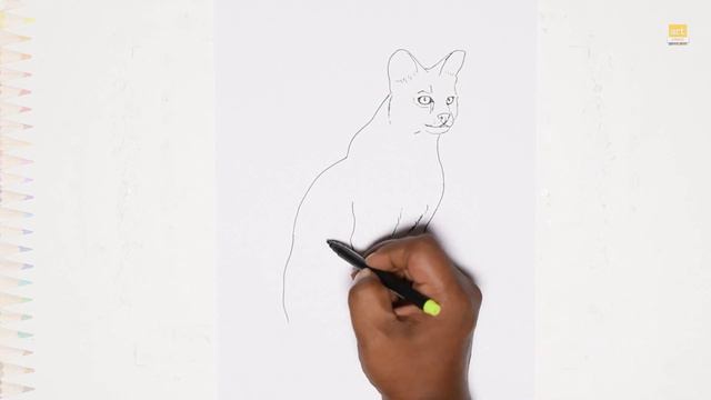 Serval Drawings | Wild Cat Drawing | How To Draw African Cat Serval Step By Step