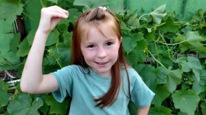 Забрали еду у Насти. Срочно едем домой, все поранились. 5.07.23.