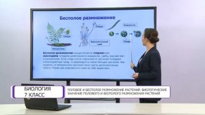 Биология. 7 класс. Половое и бесполое размножение растений /16.04.2021/