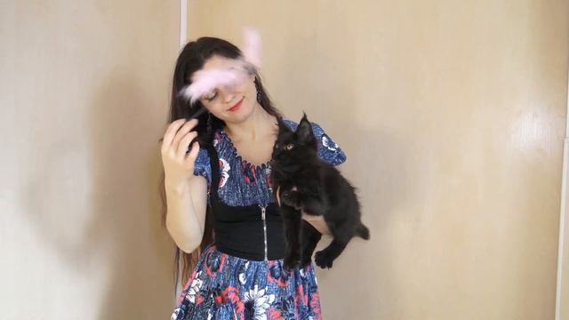 ЛИРИКУМ О'Хара Бестовна / черный бриллиант 2,5 месяца, кошечка мейн-кун смотреть онлайн