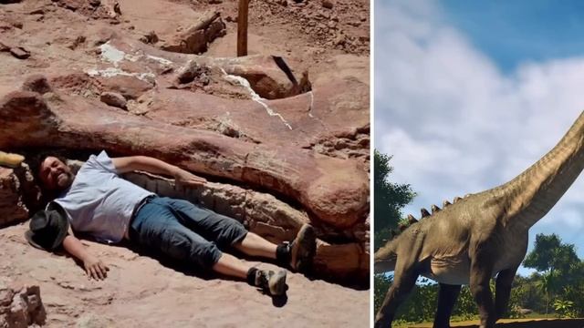 Самые Крупные Органы Животных смотреть онлайн