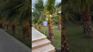 Обзор отеля Club Turtas Алания 2022