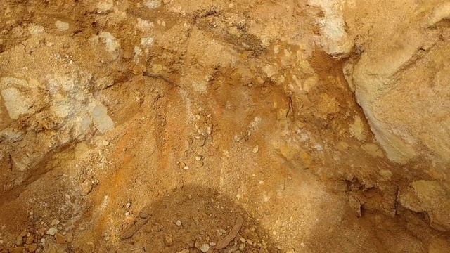 dia da caça e dia do caçador. Gold Monster 1000 e orx em busca de PEPITAS de ouro ? смотреть онлайн