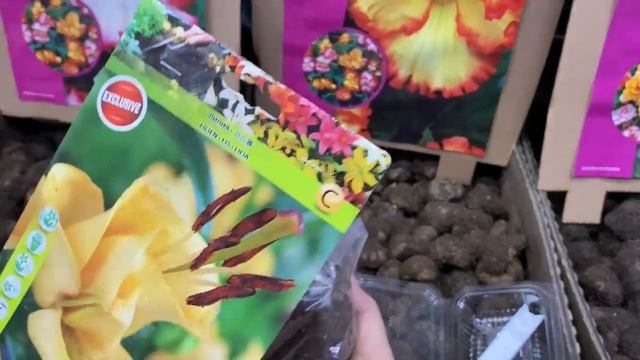 САДОВОД. Белая Дача. Москва.27.02.20 смотреть онлайн