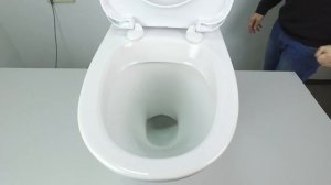 Обзор унитаза Сантек Лига от UnitazShop