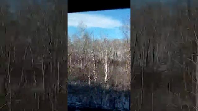 Мост через реку Тобол город Ялуторовск смотреть онлайн