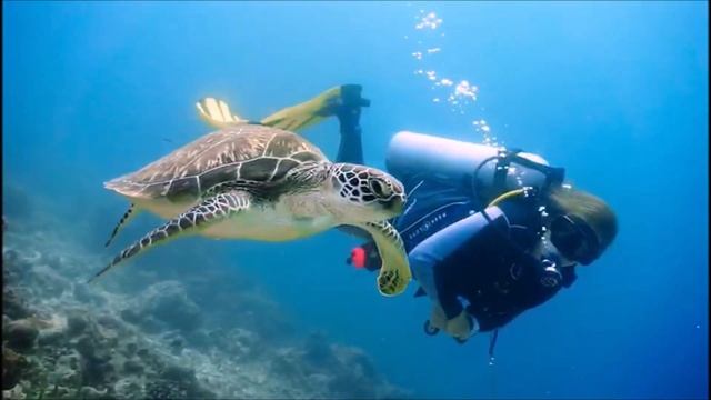 Мальдивы 2021. Отели Heritance Aarah и Adaaran Resorts смотреть онлайн