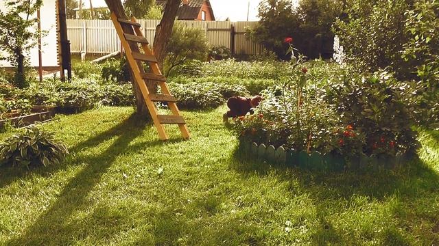 ВИННИ ПУХ // Winnie The Pooh //от TEATRIKI