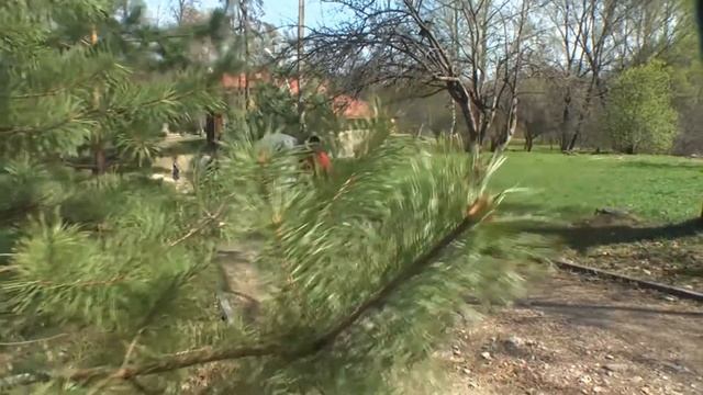видеооператор на свадьбу смоленск2 тел 89203077664 .mp4 смотреть онлайн