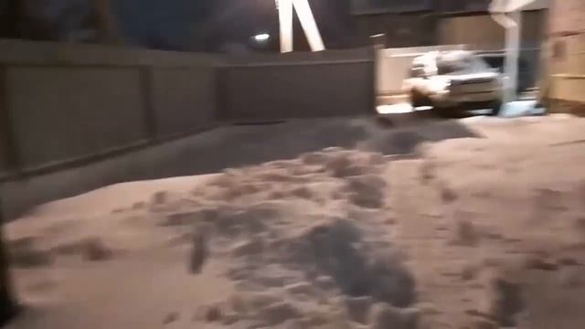 Видео-отзывы о содержании птицы на ферменте "AFILA" смотреть онлайн