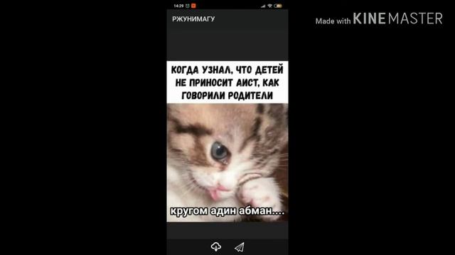 МЕМЫ В ИНТЕРНЕТЕ А НУ ОТДАЙ смотреть онлайн