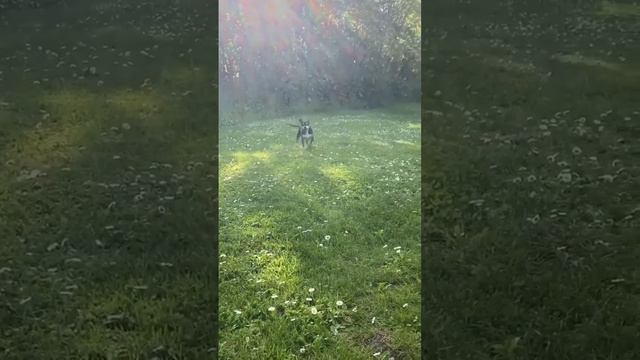 Стать счастливым довольно просто. Нужно просто ловить момент и наслаждаться маленькими радостями 🤔 смотреть онлайн