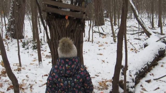 Наши с Арсением подруги) Зоопарк у дома! Гуляем с белками) Релакс от природы, погоды и компании! смотреть онлайн