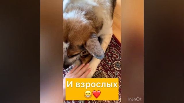 Мира. Информация для будущих хозяев. смотреть онлайн