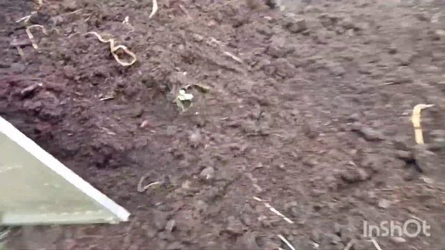Мул.субстрат посадочный под голубику и клюкву. смотреть онлайн