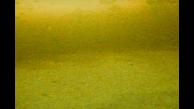 Сиг не клюёт потому что мало?А как бы не так! смотреть онлайн