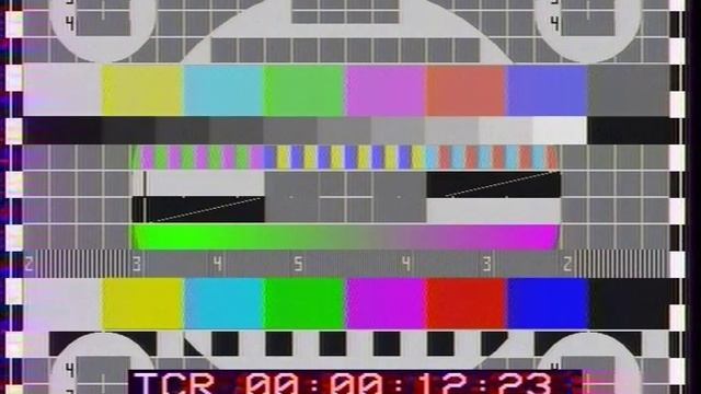 SECAM On Betacam SP