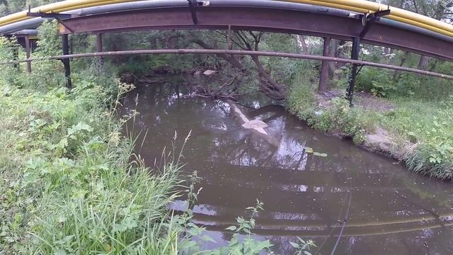 Щучка на микроколебалку-1 смотреть онлайн