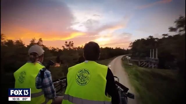 Python Hunter tells FOX13: Animals in the Everglades are "gone" смотреть онлайн