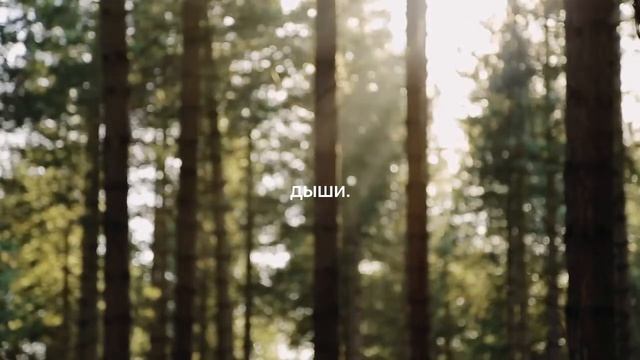 МЕДИТАЦИЯ В РОДЫ • 4 часа аффирмаций для мягкого раскрытия • проживаем схватки мягко смотреть онлайн