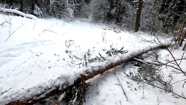 Ford Explorer Takes on the Elements: Off-Roading in the Snow and Ice смотреть онлайн