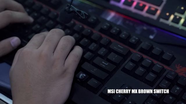 My Personal BUDGET Keyboard & Mouse ft Tecware Spectre Pro & Torque Plus Overview or Feedback 2020 смотреть онлайн