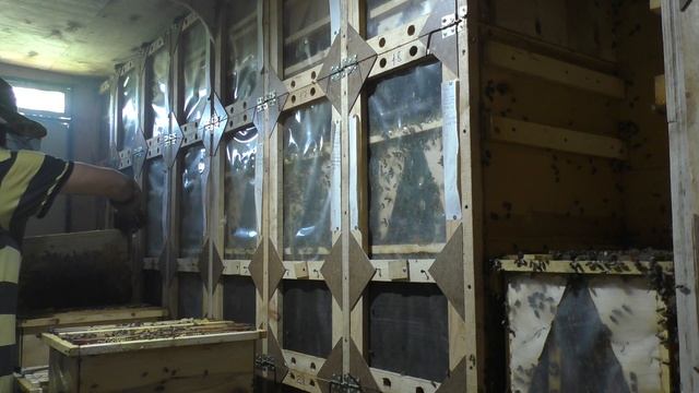 Отбираем Мёд Кассетный Павильон для Пчел Своими Руками смотреть онлайн