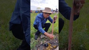 как чистят бараньи кишки