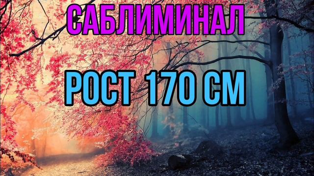 Саблиминал на рост 170 смотреть онлайн