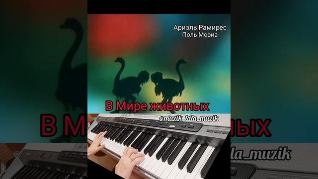 В МИРЕ ЖИВОТНЫХ  Ариэль Рамирес Поль Мориа Музыкальный РАРИТЕТ #животные #раритет #ностальгия