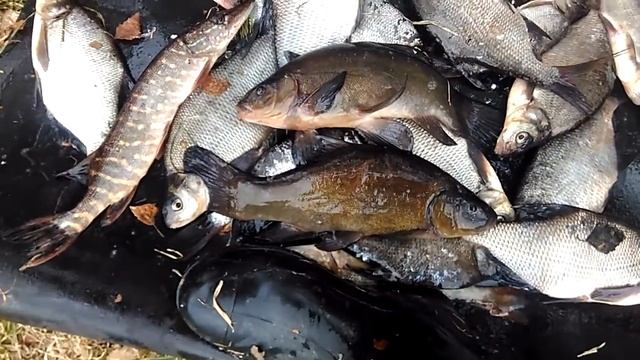 Начало сезона рыбалки 2018 смотреть онлайн