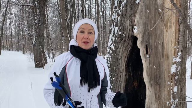 Пищевые Волокна смотреть онлайн