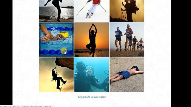 тест. какое ты животное . я пандочка